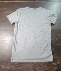 Hollister Must-Have Collection Mens Gray T-Shirt Size Medium