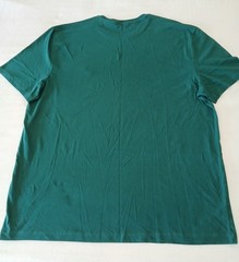 Nautica Men’s Green Crew Neck T-Shirt 3XL Big & Tall Solid Logo Cotton Knit NWT