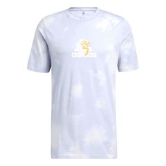 Adidas Men’s Summer Madness TSL Graphic Tee, Halo Silver