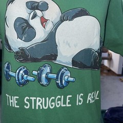 Port & Company Green T Shirt The Struggle Is Real Weightlifting Panda Size Small