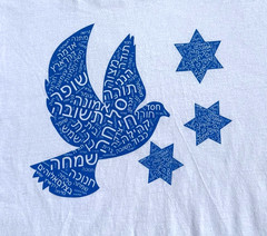 Temple Solel T-Shirt Men’s UK Size L White Judaism Short Sleeve Crew Neck Hebrew