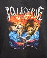 Valkyrie Men’s T Shirt Size XL By Gildan