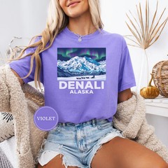 Denali Alaska Aurora Comfort Tee National Park Travel Souvenir