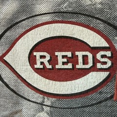 KEN GRIFFEY JR Cincinnati Reds MLB Licensed T-Shirt 2000 LARGE Preowned VTG