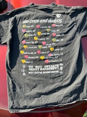 Vintage Hole Giant Tultex Shirt 1995 Preowned Courtney Love 1 owner XL rare tour