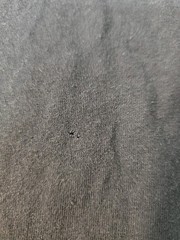 Release The Kraken Fraizer History Museum Shirt Medium A Few Flaws As Pictured