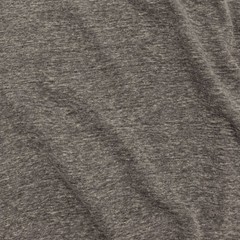 Blue Moon Color Logo Mens T Shirt Gray
