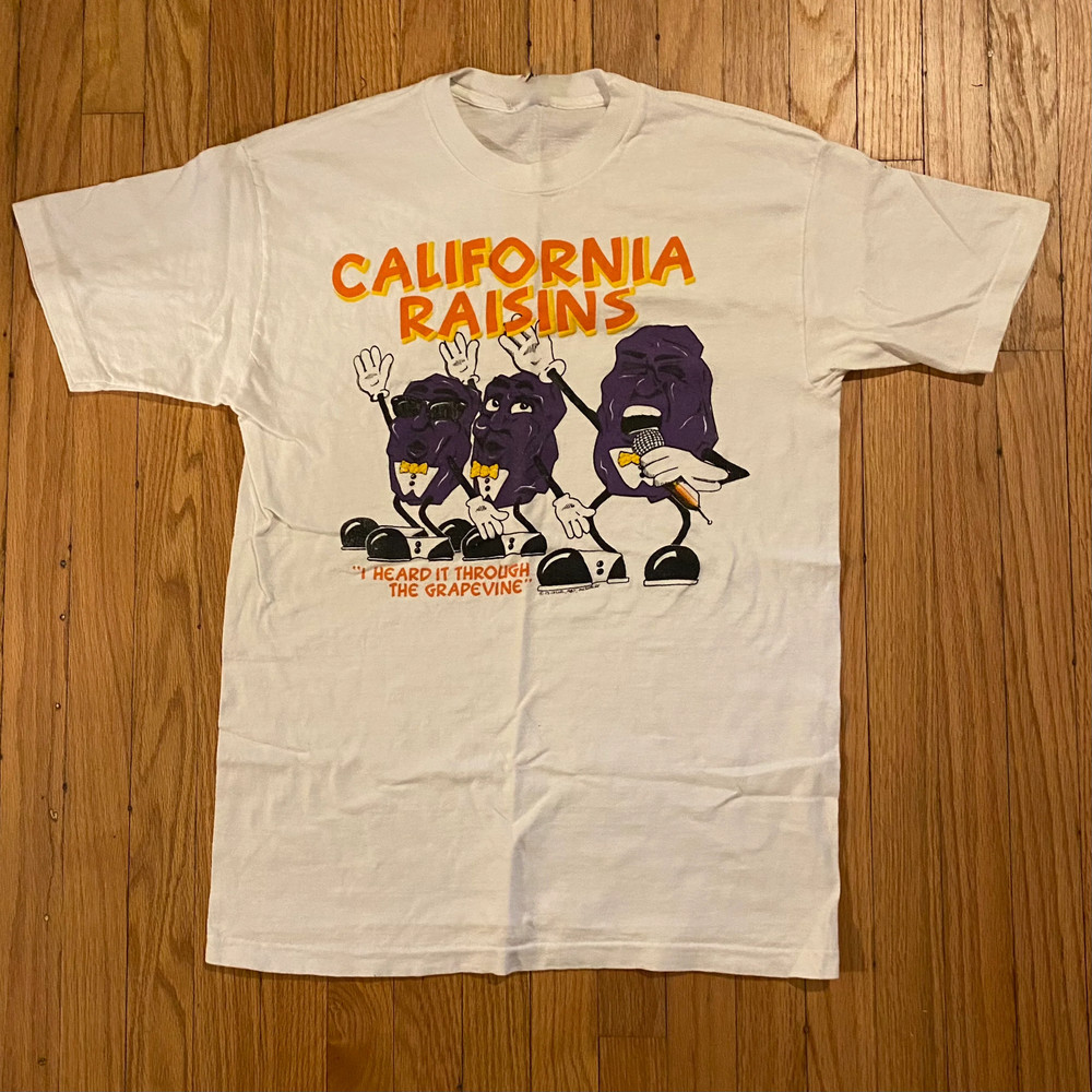 Vintage 1987 Single Stitch California Raisins Tee Shirt S-5XL IM0568