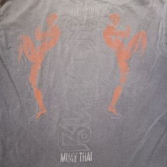 Affliction Sport T Shirt Mens XXL Gray Muay Thai Graphic Distressed Faded USA