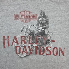 Harley-Davidson Shirt Mens Medium Tall Gray Big Sky Great Falls Montana Biker