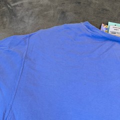 ComfortWash Hanes Alaska Retreat Graphic T-Shirt Blue Mens Large Ring Spun