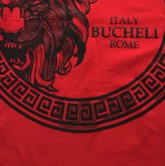 Men’s Bucheli Cotton T Shirt,Italian Style,Slim Fit,Stretch S XL…..A11.A