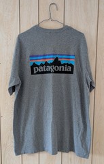 Patagonia Fitz Roy Horizons Gray Short Sleeve Responsibili-Tee T-Shirt Men’s L