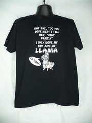 I Only Love my Bed and My Llama T-Shirt Shirt Size L Black Large USA Seller