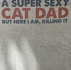 gildan- Official SleepShirt