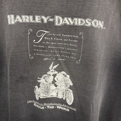 Vintage 90s Harley Davidson Sun Faded Single Stitch T Shirt Looney Tunes Taz L