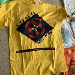 Lot of 12 Vintage T Shirts Travel 80s-Y2K. Soho NYC, WTC, India, Austin, Branson