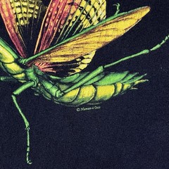 Vintage 90s Human-I-Tees Praying Mantis Grasshopper Insect Bug T Shirt XL Faded