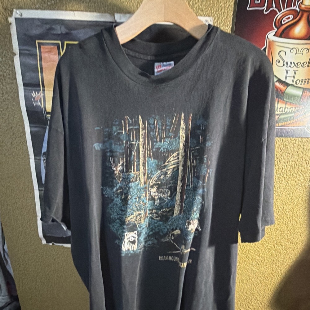 Vintage Hanes Heavyweight Mens XXL Black Roan Mountain State Park Graphic shirt