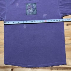 Vintage Y2K Chasing Dragons Floral Rose Nature Art Graphic T-Shirt USA – Large