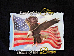 “LAND OF THE FREE, HOME OF THE BRAVE” ~(100% COTTON T-SHIRT / L)~ *UNISEX / NEW*