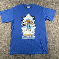 Vintage Disney Blizzard Beach Summit Plummet T Shirt Mens M Blue Graphic USA