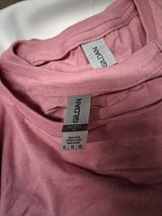 (16) Adult Gilden Soft Style Azalea Pink T-Shirts 8Lg & 8XL
