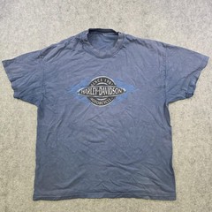 VTG 2005 Harley Davidson T Shirt Mens XL? Blue Greensboro NC Flames Graphic Tee