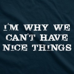 I’m Why We Can’t Have Nice Things T Shirt Funny Sarcastic Humor Quote