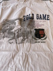 Pierre Cardin Beige T-shirt, Polo Game w Embroidered Patch, XXL, Cardin Sport