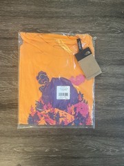 The North Face Haze Shirt Mens Medium Orange