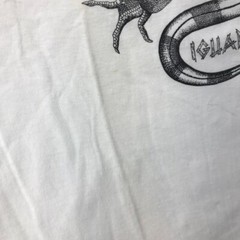 Vintage Hard Rock Cafe Shirt Mens XL Iguana Costa Rica Y2K GIANT Tag Grunge *