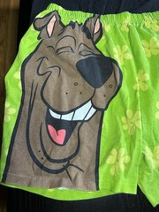Scooby Doo Y2K T-shirt and Shorts Set 2001 Cartoon Network XL