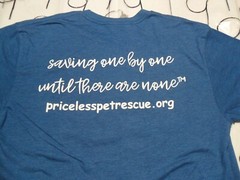 Medium Priceless Pets A No Kill Shelter Next Level Brand ￼ Shirt