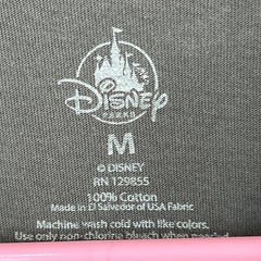Disney Disneyland Resort T-Shirt Gray and Red Castle Mens Size M