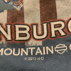 Hillbilly Harley Davison T Shirt Missing Tag M-L Gatlinburg TN 2012 20” X 28”