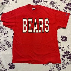 Bears School Spirit Shirt: Team Pride Tee – ,