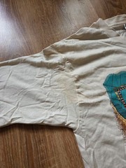 Vintage Princess Cruises “Panama Canal” T-Shirt — 1994