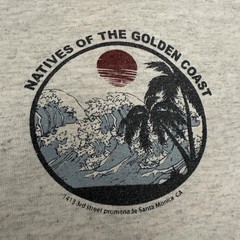 J. Galt Shirt Mens Large Gray Natives Of The Golden Coast Graphic Tee Back Print