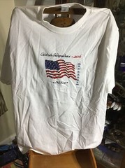 CELEBRATE INDEPENDENCE 2006 T-SHIRT. Hanes Mens 100% Cotton Authentic-T T-Shirt.