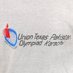 Vintage Mini Marathon T Shirt Mens Size Medium 90s Union Texas Pakistan Karachi
