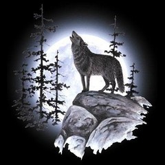 Wolf Moon T Shirt You Choose Style, Size, Color Up to 4XL 10416