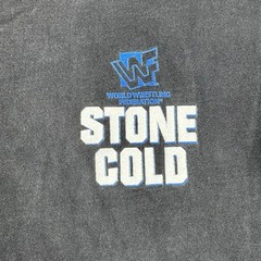 Vintage 90s WWF Stone Cold Steve Austin Rattlesnake Shirt Large Hanes Tag