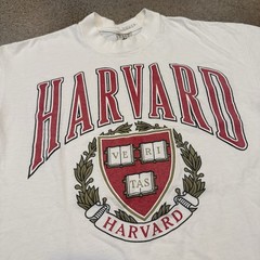 Vintage 90s Harvard University Crest Tee Shirt Fits Large Galt Sand White 1990s