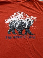 The North Face Shirt Mens XL Orange Bear Mountain Graphic Tee Nature Outdoor