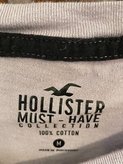 Hollister Must Have Collect Shirt Mens Medium Purple Adult V Neck Tee