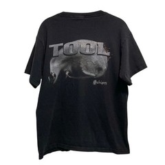 Tool Schism 2006 Vintage Blue Label Anvil Tear Away Mens Medium Band Tee Shirt