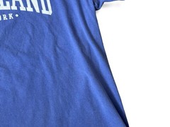 FIRE ISLAND LONG ISLAND NY MENS LARGE SURFING HAMPTONS BLUE CREW NECK T-SHIRT