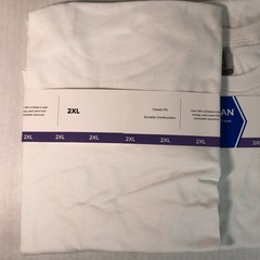 Gildan Mens Heavy Cotton (LOT Of 2) White 2XL Plain Adult T-Shirt Tee G5000 XXL