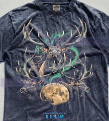 Moose Wildlife Northern Lights Aurora Comfort Tee